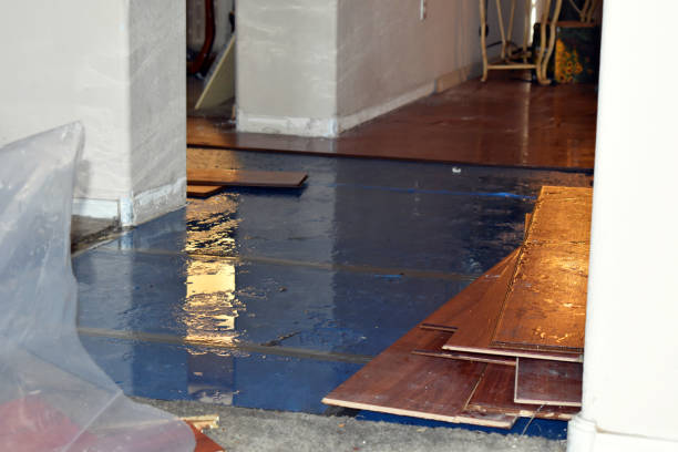 Professional Basement Water Removal technician working in Springville, IA